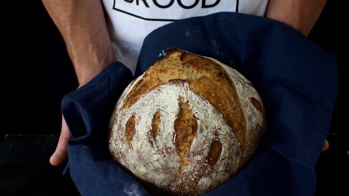 Sourdough pizza dough