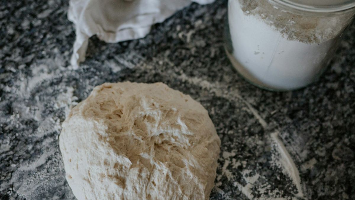 Dough and starter